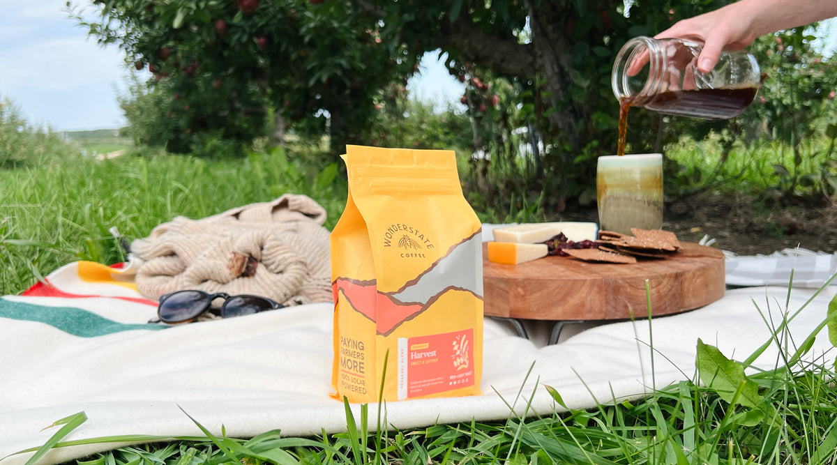 This Year's Harvest: Our Favorite Ways to Brew
