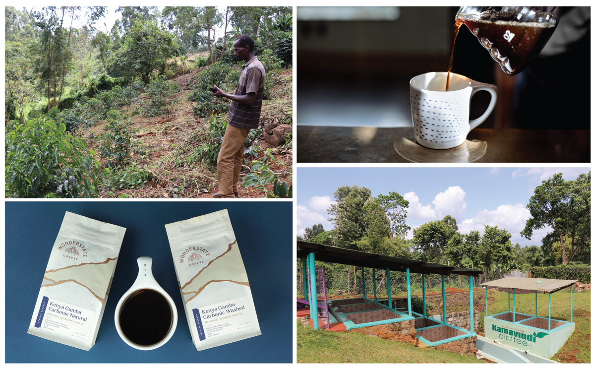 Kenya Limited Release Recipes