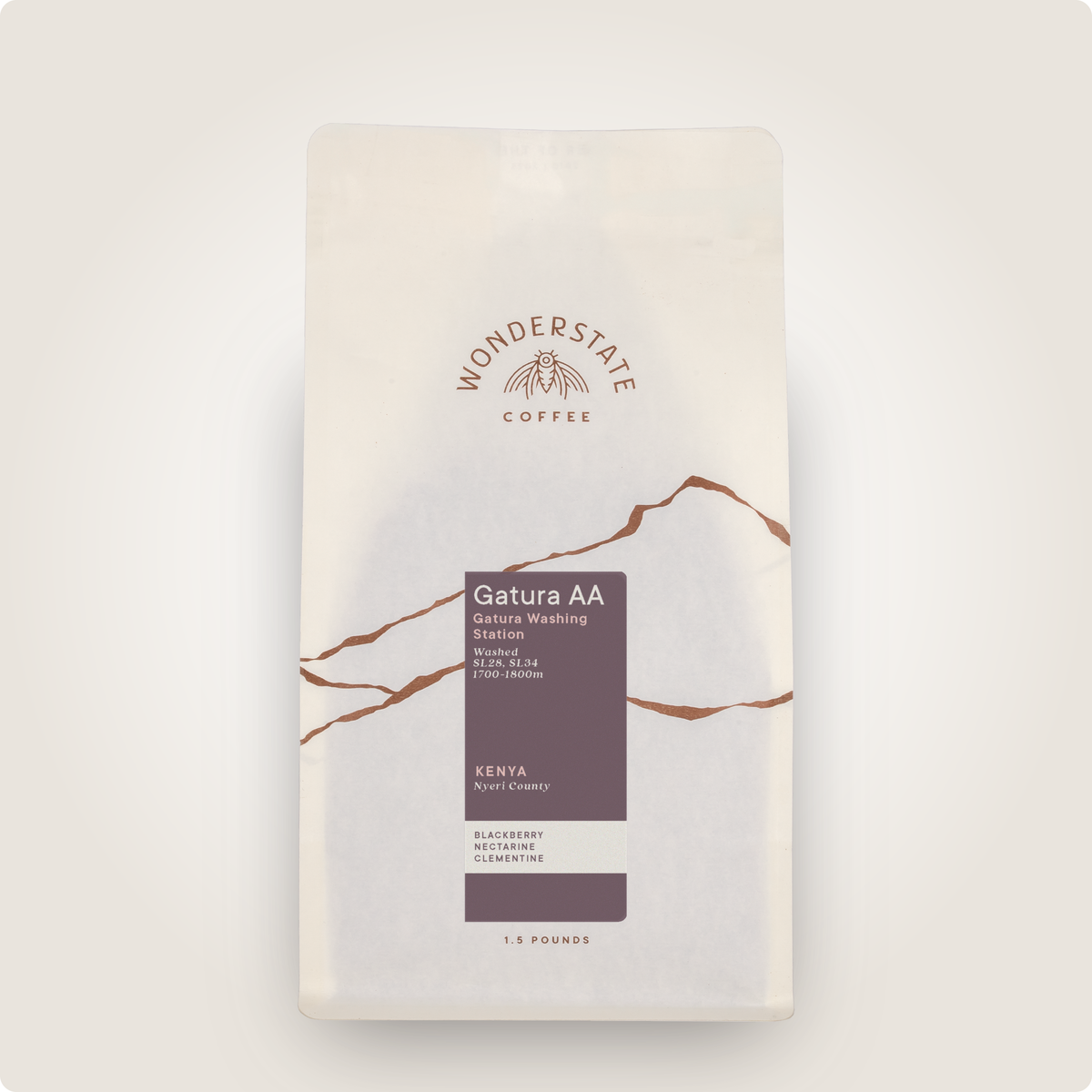 Kenya Gatura AA