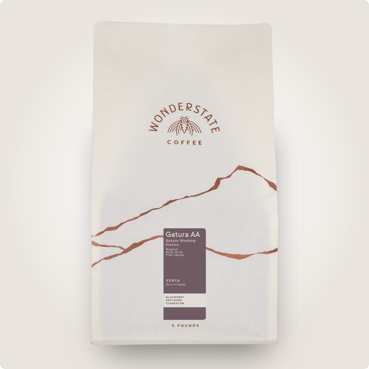 Kenya Gatura AA