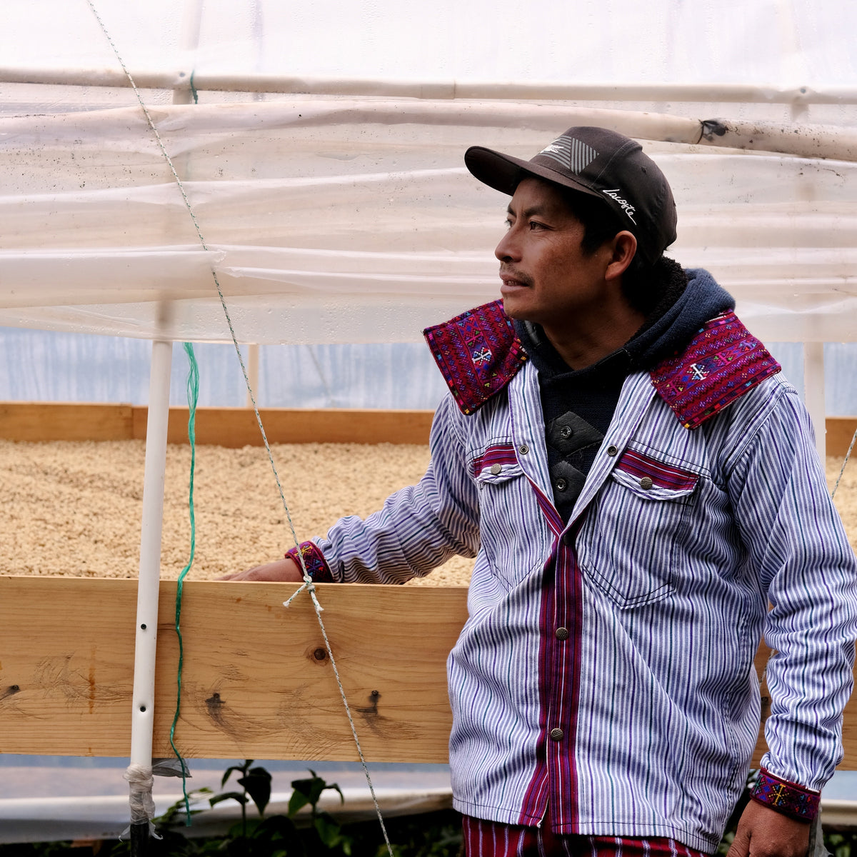 A Bet on the Future: Climate Change and Coffee Farming