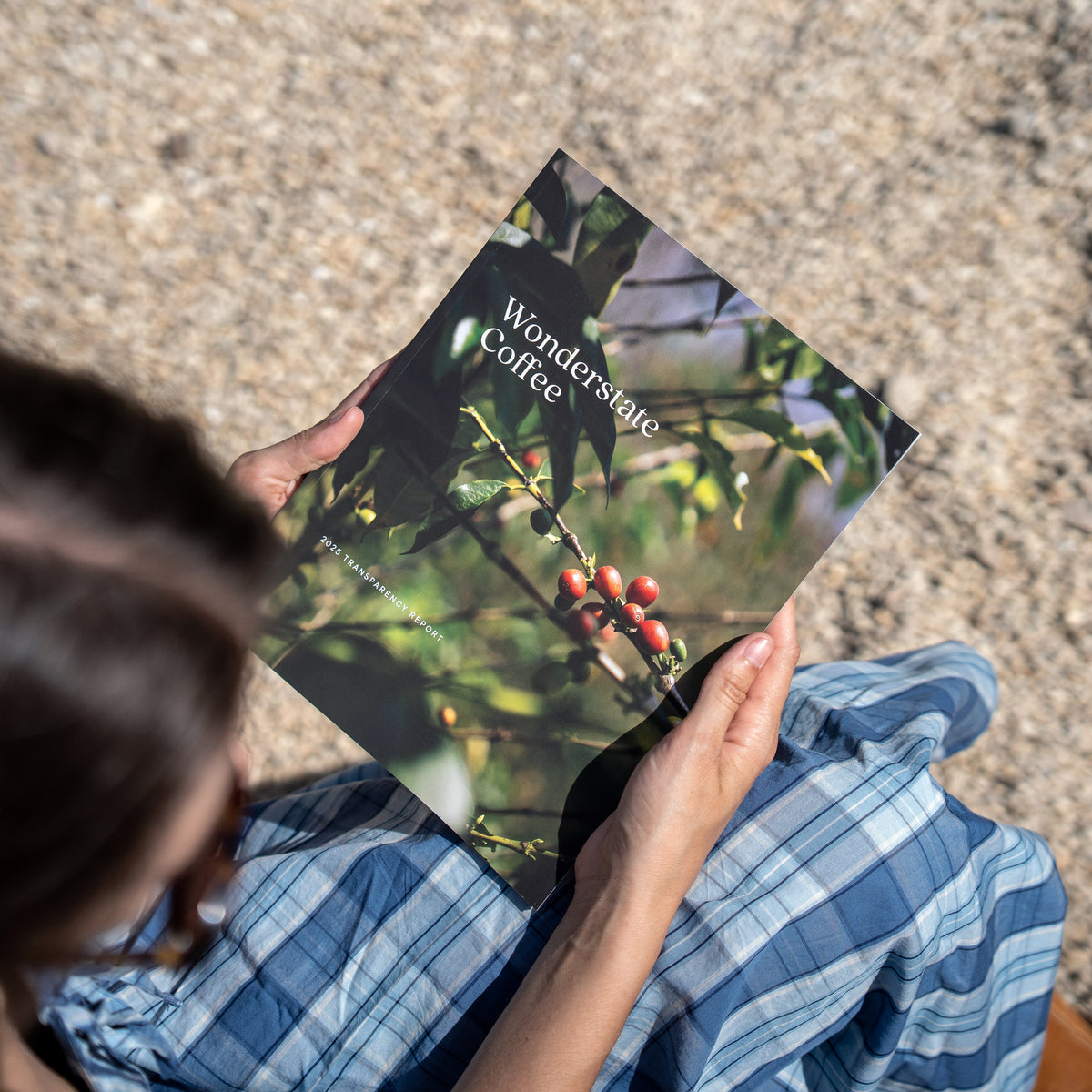 Person holding a magazine titled 'Wonderslate Coffee' with a coffee plant image on a textured surface.