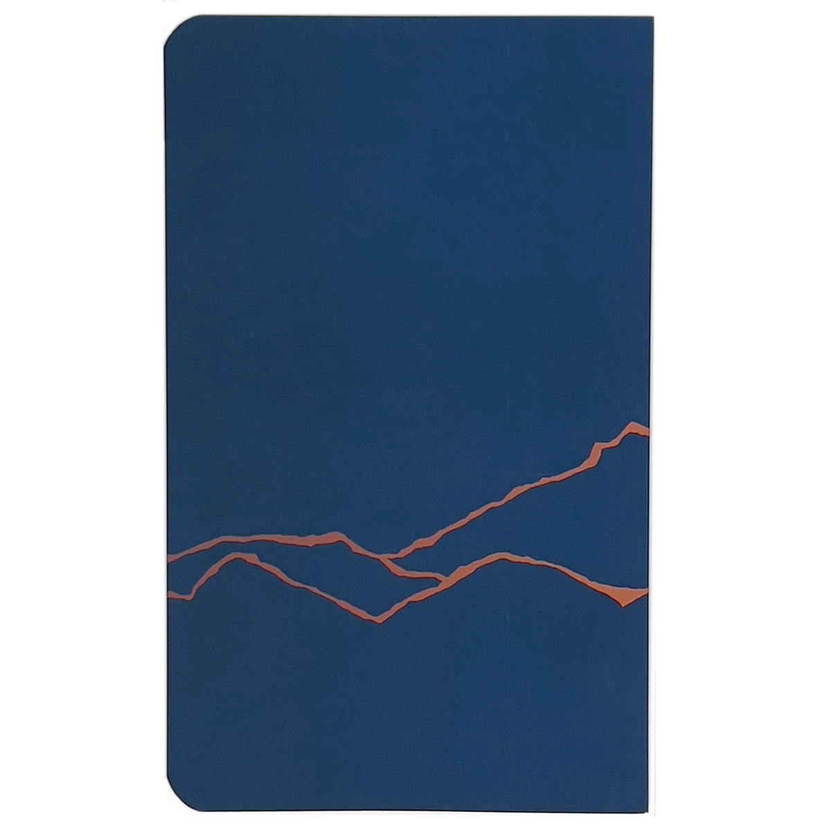 back of field ledger with crack design
