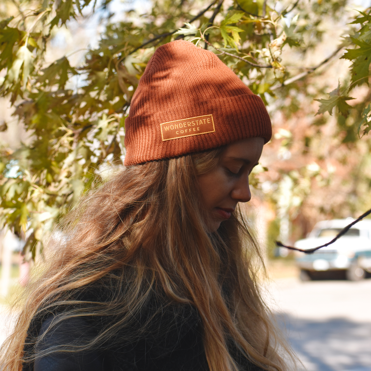 Bedrock Beanie